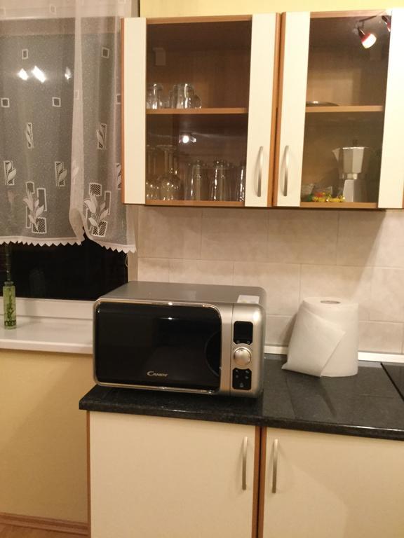 Lydiavi Apartment Vysoke Myto Exterior photo